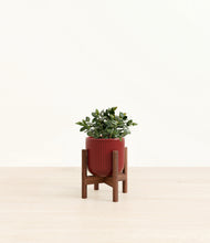 Load image into Gallery viewer, Striped Cherry Red stand:walnut