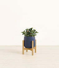 Load image into Gallery viewer, Deep Navy stand:bamboo
