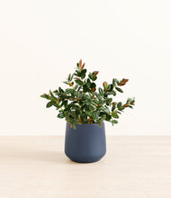 Load image into Gallery viewer, Deep Navy