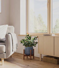 Load image into Gallery viewer, Deep Navy stand:walnut