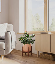 Load image into Gallery viewer, Calm Rose stand:walnut