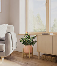 Load image into Gallery viewer, Calm Rose stand:bamboo