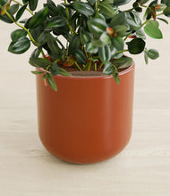 Load image into Gallery viewer, Earth Red stand:all