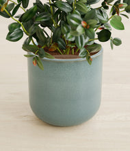 Load image into Gallery viewer, Reactive Aqua stand:all