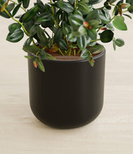 Load image into Gallery viewer, Stone Black stand:all