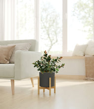 Load image into Gallery viewer, Dark Olive stand:bamboo