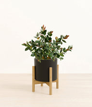 Load image into Gallery viewer, Black stand:bamboo