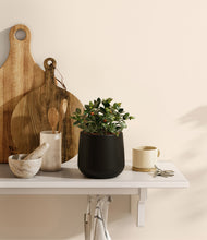 Load image into Gallery viewer, Black