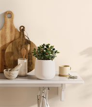 Load image into Gallery viewer, White