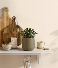 Load image into Gallery viewer, Olive