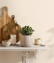 Load image into Gallery viewer, Eternal Gray