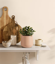 Load image into Gallery viewer, Gentle Pink