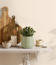 Load image into Gallery viewer, Turquoise