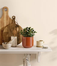 Load image into Gallery viewer, Glossy Red