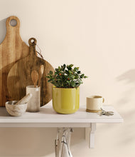 Load image into Gallery viewer, Key Lime Yellow