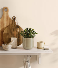 Load image into Gallery viewer, Sage Green