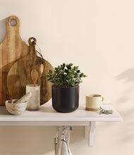 Load image into Gallery viewer, Stone Black