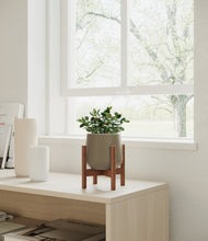 Load image into Gallery viewer, Olive stand:walnut