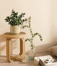 Load image into Gallery viewer, Almond Green