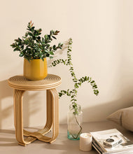 Load image into Gallery viewer, Mustard