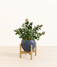 Load image into Gallery viewer, Deep Navy stand:bamboo