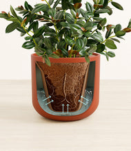 Load image into Gallery viewer, Earth Red