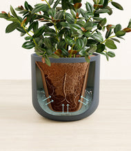 Load image into Gallery viewer, Iron Gray