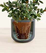 Load image into Gallery viewer, Iron Gray stand:all