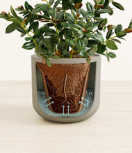 Load image into Gallery viewer, Sage Green stand:all