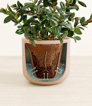 Load image into Gallery viewer, Sandy Pink stand:all