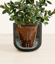 Load image into Gallery viewer, Stone Black