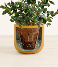 Load image into Gallery viewer, Sunset Orange