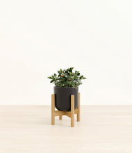 Load image into Gallery viewer, Stone Black stand:bamboo
