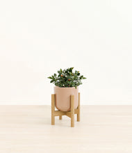 Load image into Gallery viewer, Glossy Pink stand:bamboo