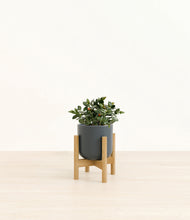 Load image into Gallery viewer, Iron Gray stand:bamboo