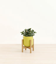 Load image into Gallery viewer, Key Lime Yellow stand:bamboo