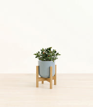 Load image into Gallery viewer, Misty Blue stand:bamboo