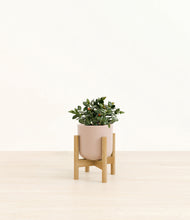 Load image into Gallery viewer, Sandy Pink stand:bamboo