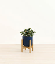 Load image into Gallery viewer, Twilight Blue stand:bamboo