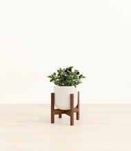 Load image into Gallery viewer, Cotton White stand:walnut