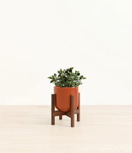 Load image into Gallery viewer, Glossy Red stand:walnut