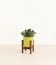 Load image into Gallery viewer, Key Lime Yellow stand:walnut