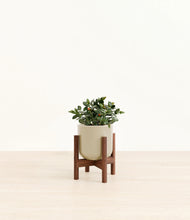 Load image into Gallery viewer, Sage Green stand:walnut