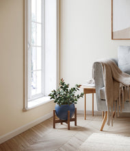 Load image into Gallery viewer, Deep Navy stand:walnut