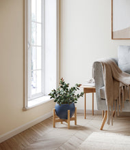 Load image into Gallery viewer, Deep Navy stand:bamboo