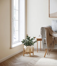 Load image into Gallery viewer, Shiny EggWhite stand:bamboo