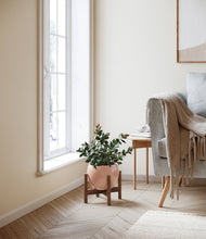 Load image into Gallery viewer, Calm Rose stand:walnut