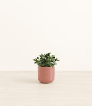 Load image into Gallery viewer, Hammered Rose Pink*****Profile