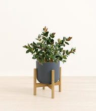 Load image into Gallery viewer, Iron Gray stand:bamboo