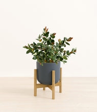 Load image into Gallery viewer, Iron Gray stand:bamboo